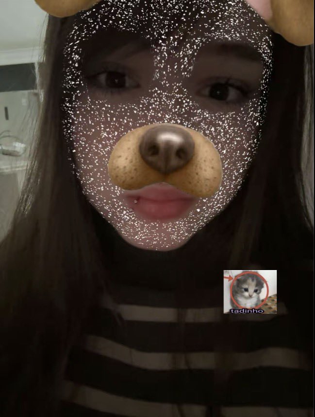 ᐢ..ᐢ tweet media