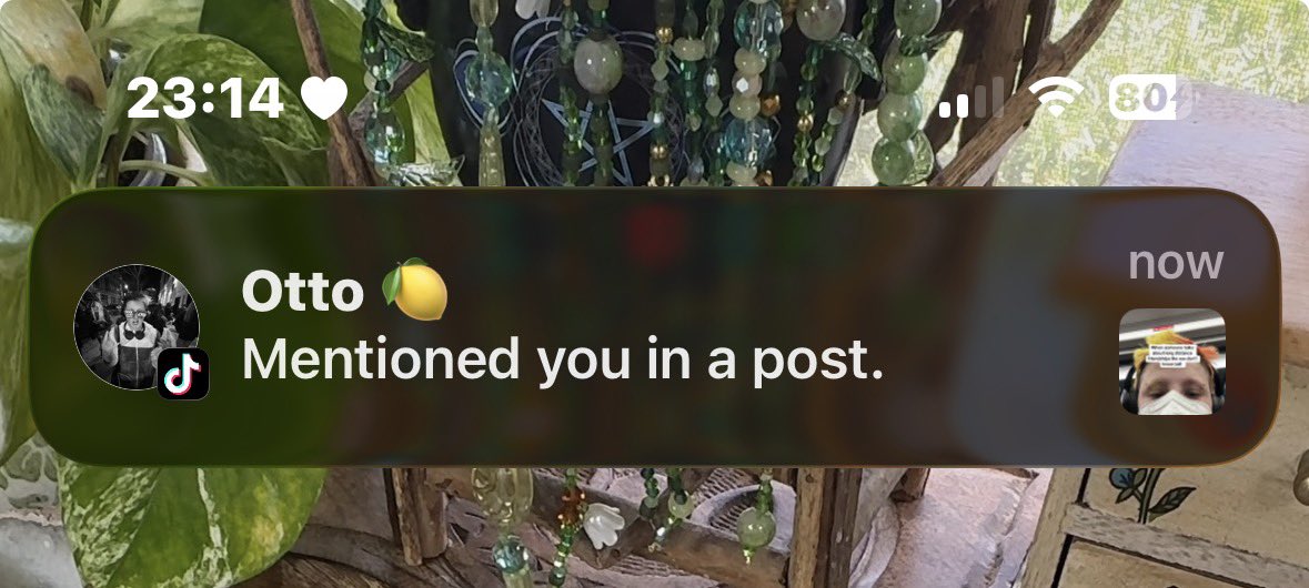 cody 🐞 tweet media