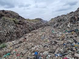 Kenyan Facts 🇰🇪 tweet media