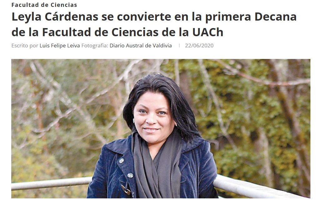 HoraciaD tweet media