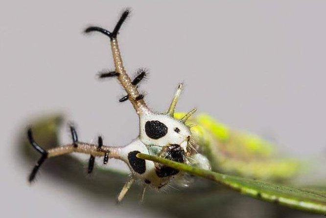 hawa ï๑ tweet media