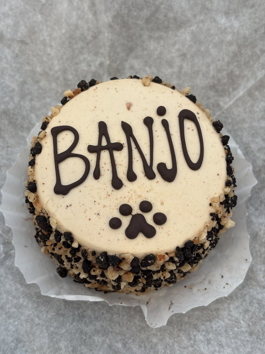 pock 🔜 indy pokemon regionals ➡️ riptide! tweet media