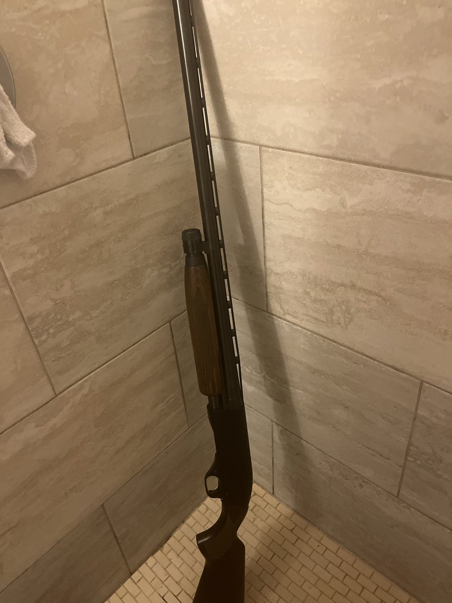 bassfishh tweet media