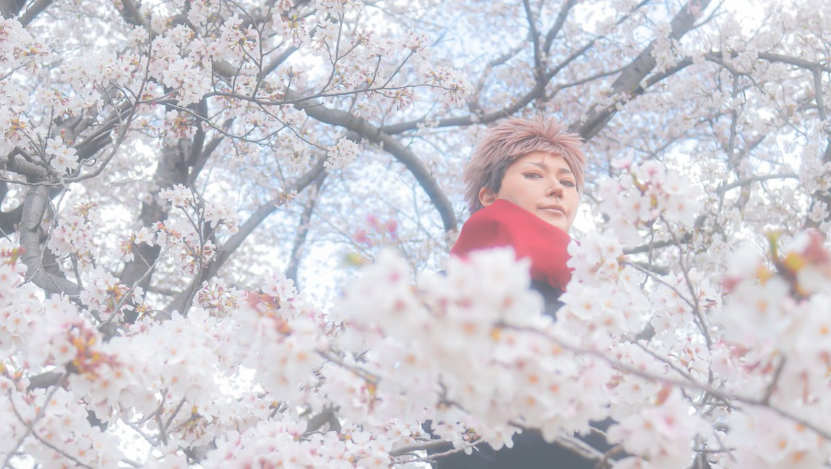 すもも。 tweet media