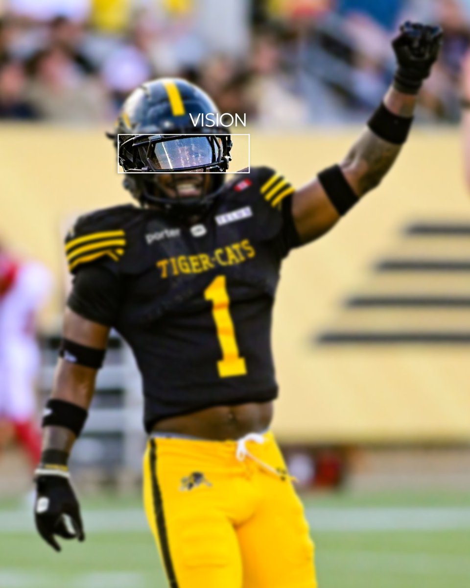 Hamilton Tiger-Cats tweet media