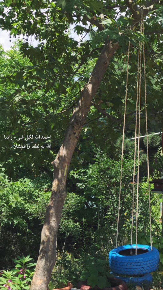 ليلى سعد التويجري🕊 tweet media