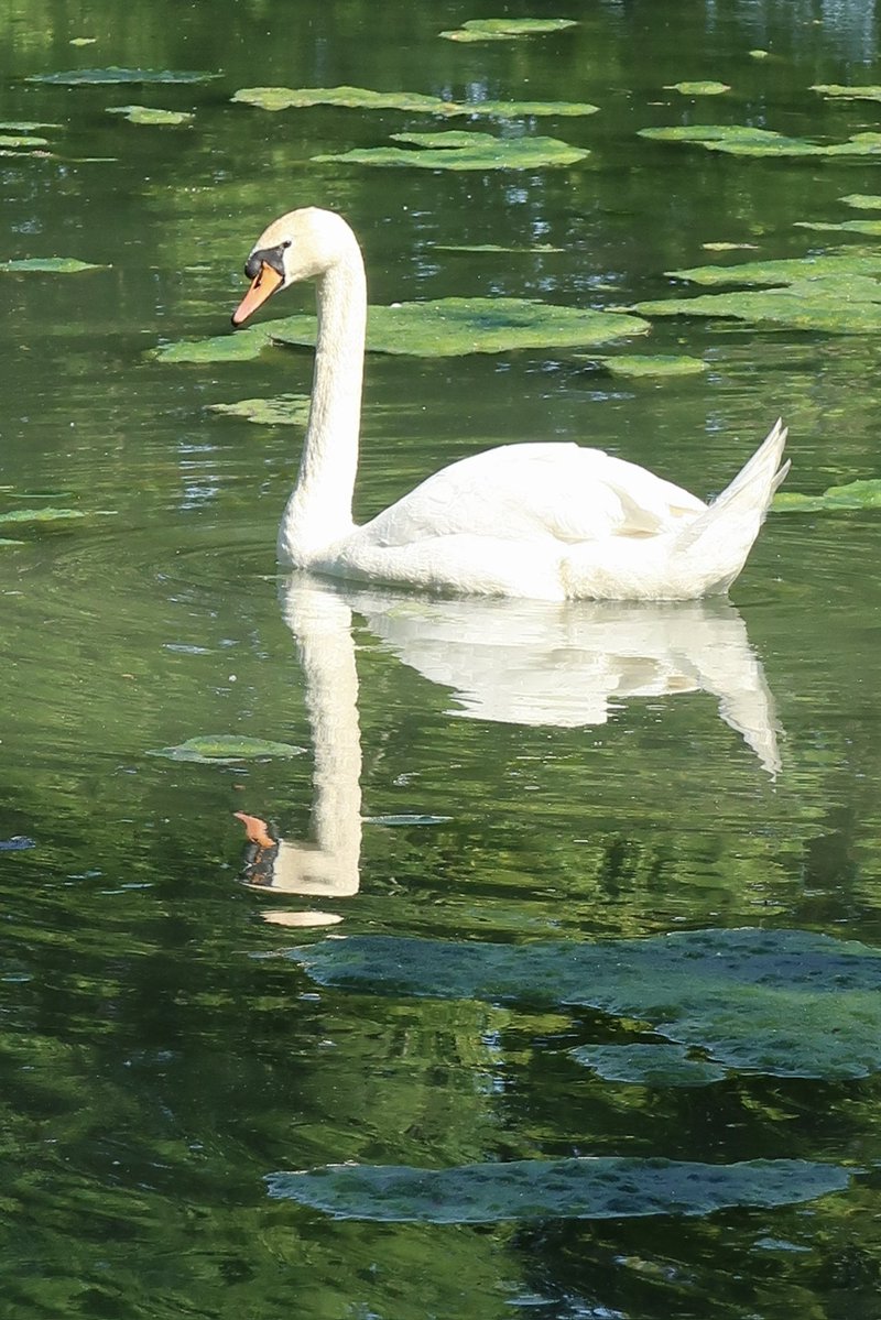 Mike Bates tweet media