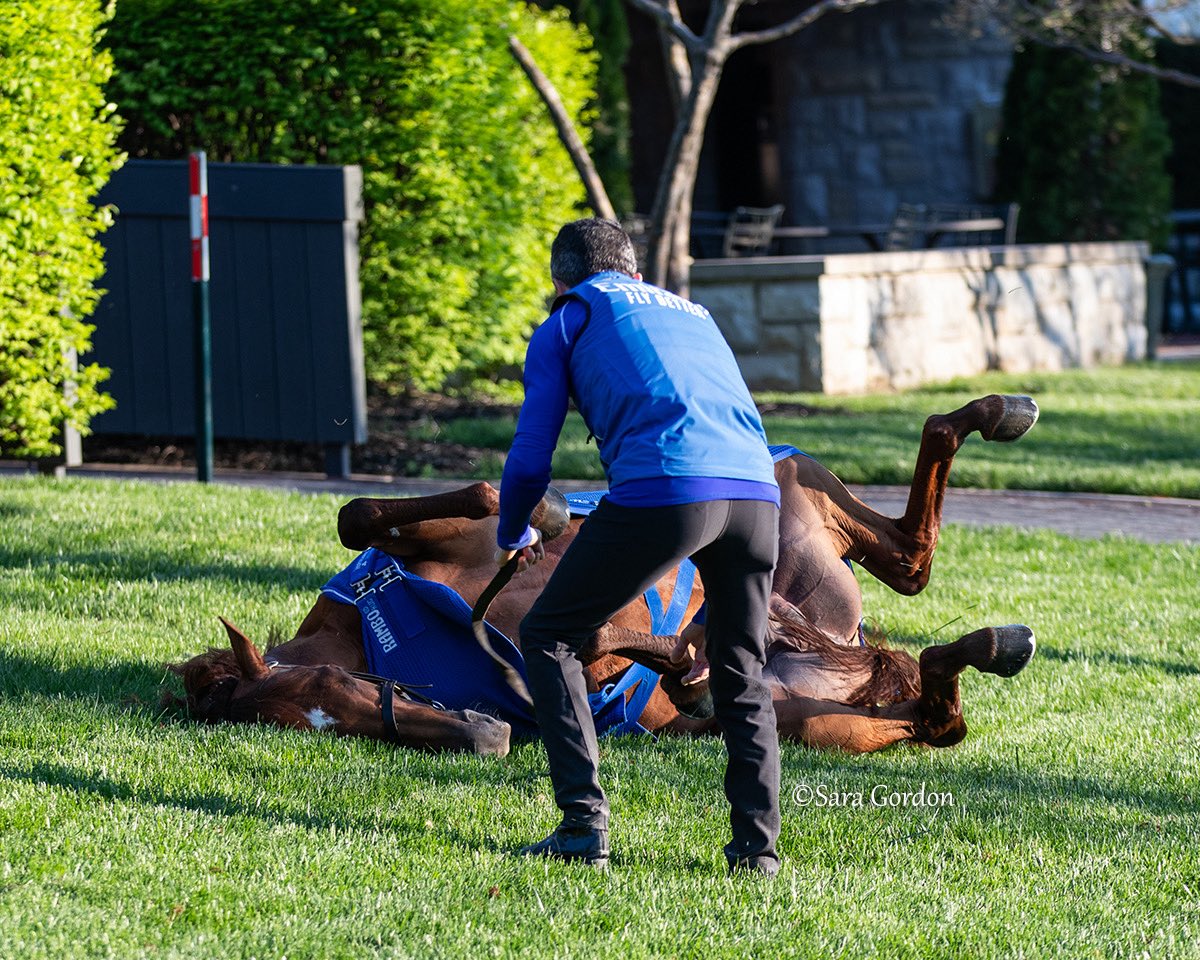 Sara Gordon tweet media