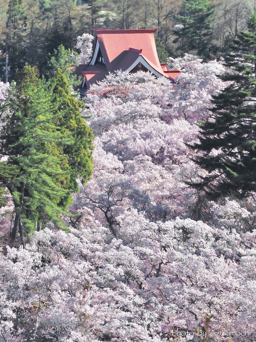 小豆餅乃部屋 ⚘ ⡱ tweet media