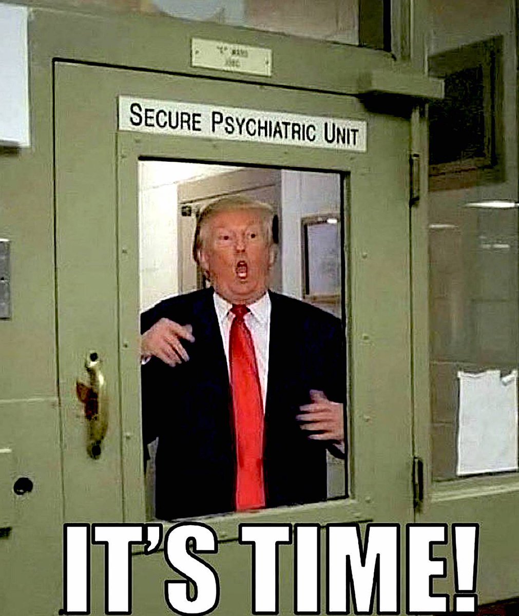 💙 Dr. MemeNstein votes 💙 BLUE 🇺🇸🦅 tweet media