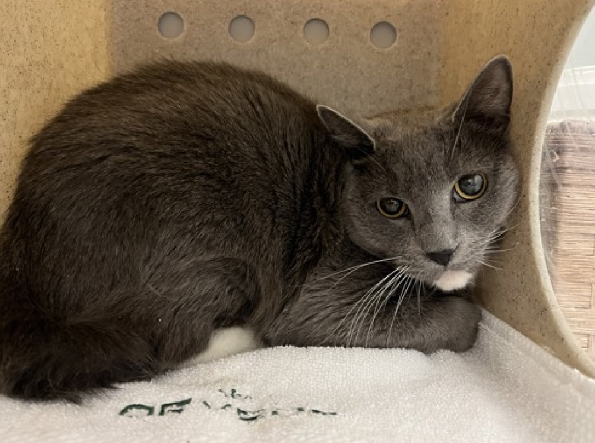 Jack5928 tweet media