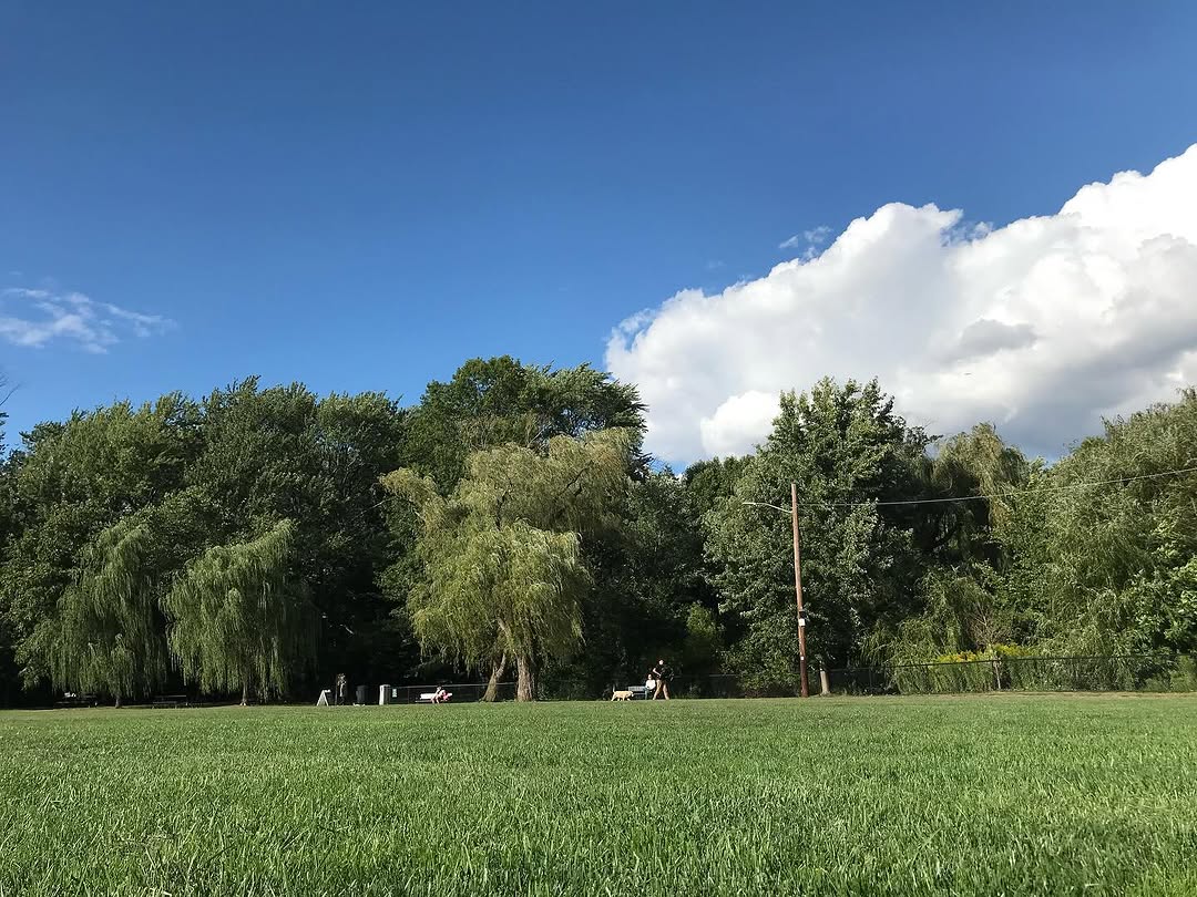 xewuki.2 tweet media