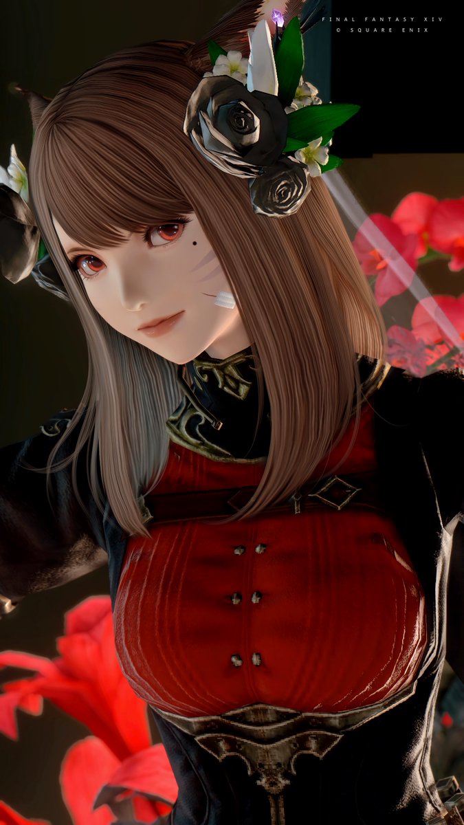 🐈Gоmαnё❖ tweet media