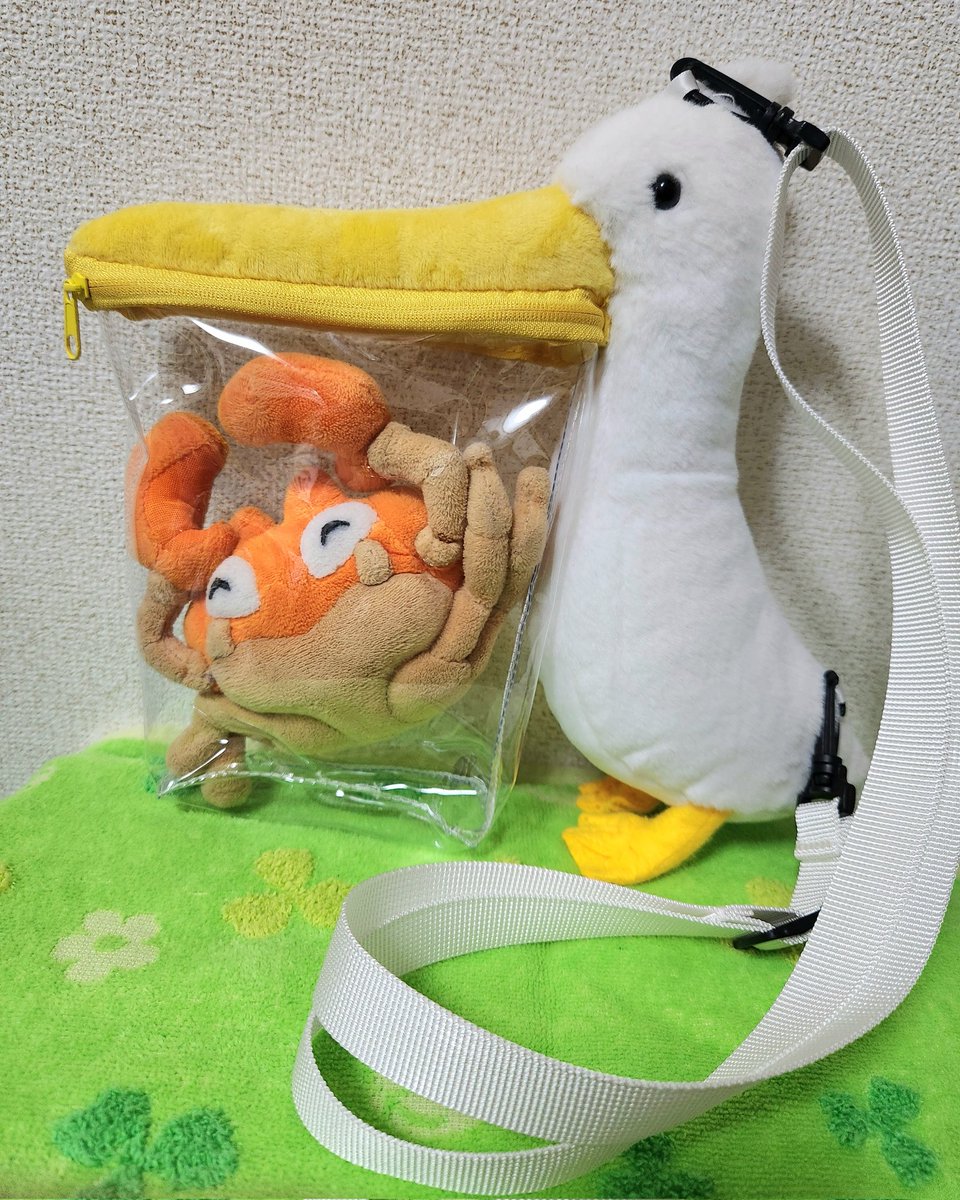 クラブ日記 tweet media