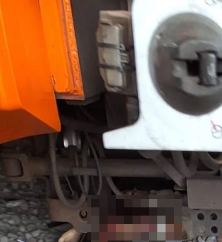 Crónica NLD tweet media