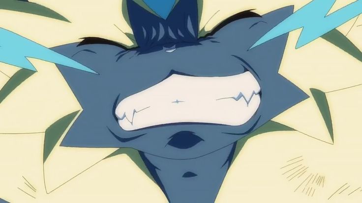 Daily Zeraora tweet media