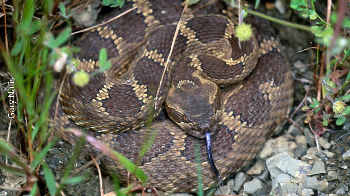 East Bay Regional Park District tweet media