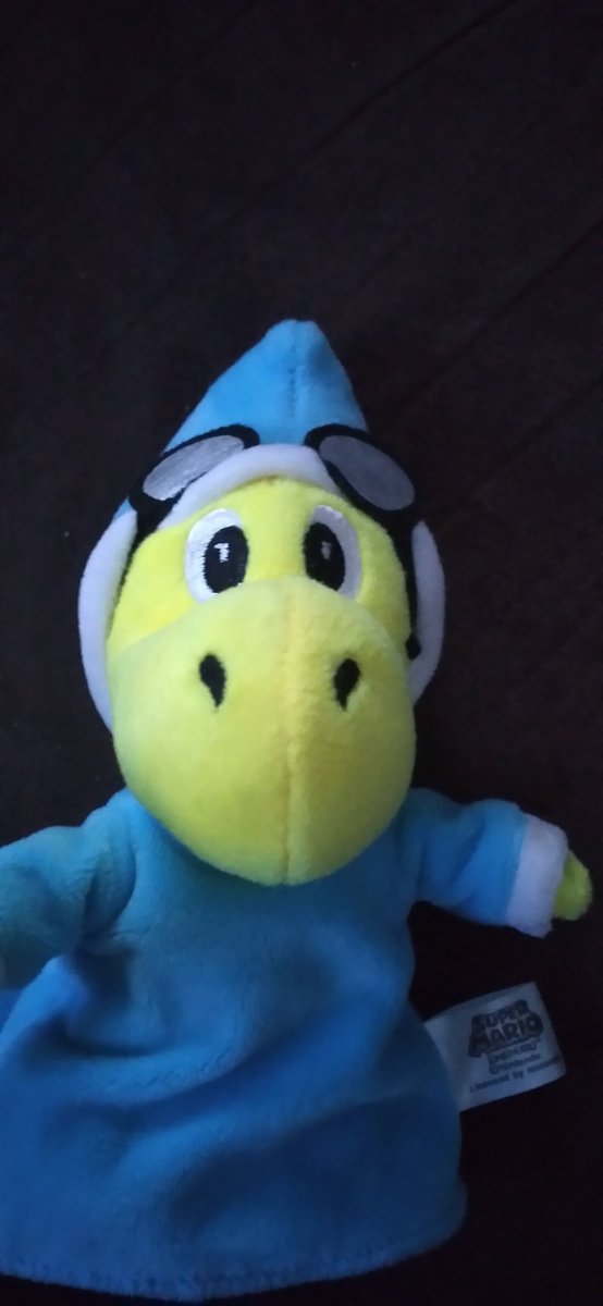 MarioLuigiN64 tweet media