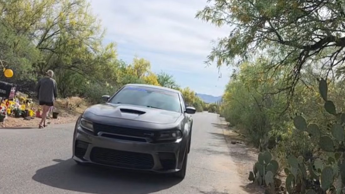 Where is Nancy Guthrie? tweet media