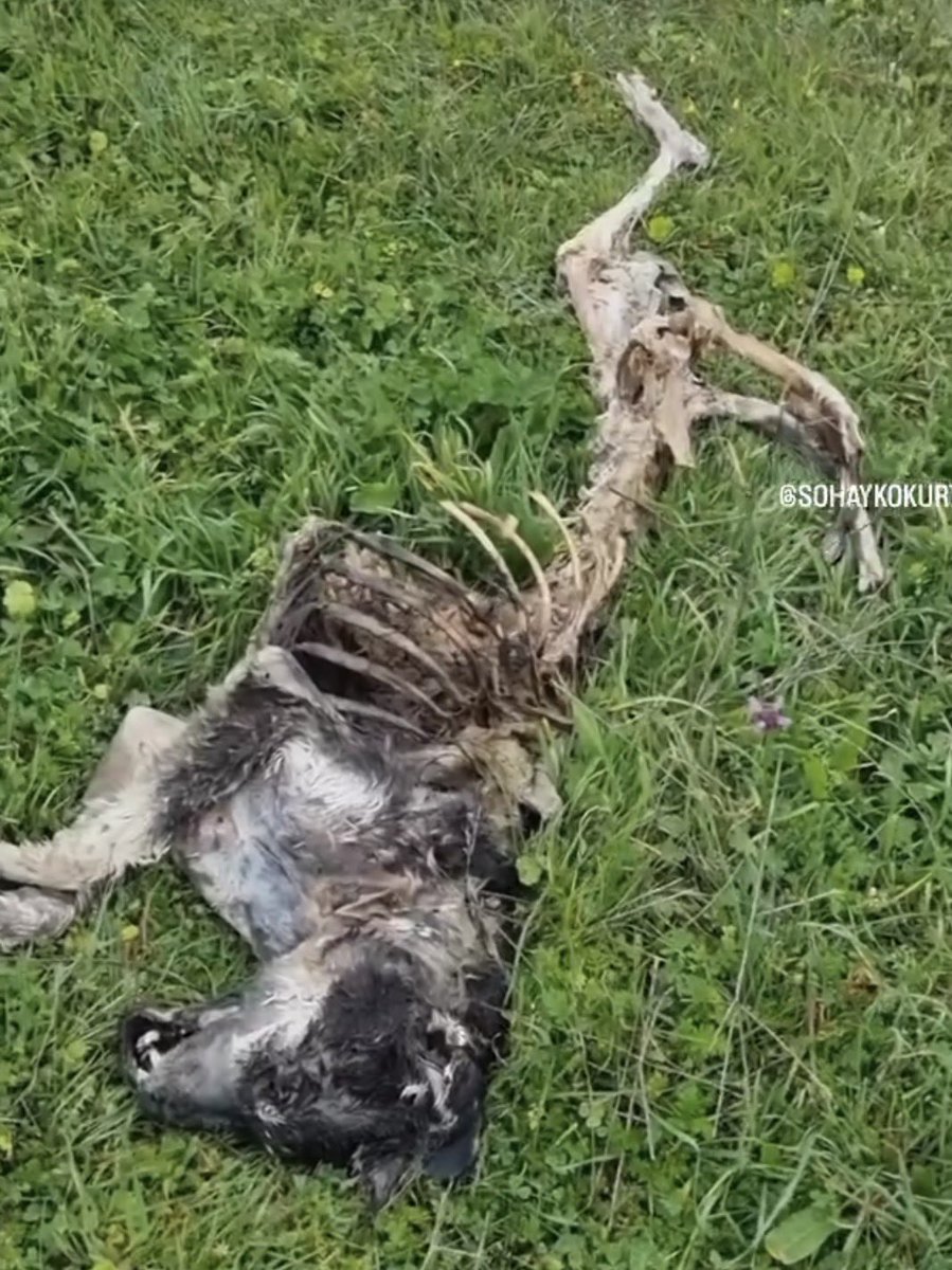 UzayMekanİnsan tweet media