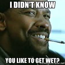 Pat Mayo tweet media