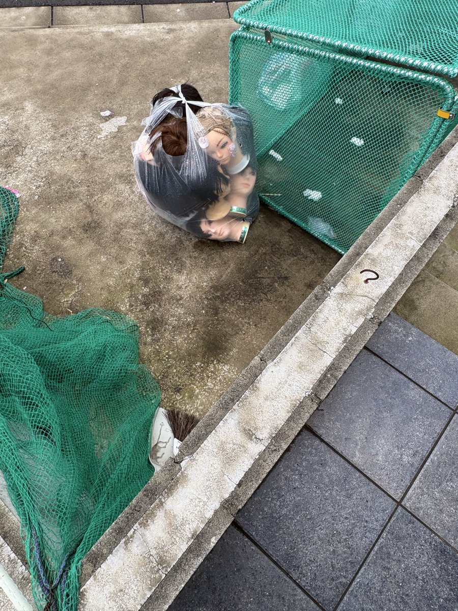 キル☆ぼっちライダー。zx25r tweet media