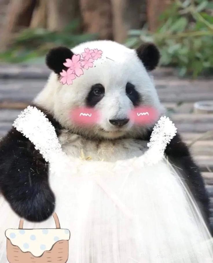 Carlos Johnson tweet media