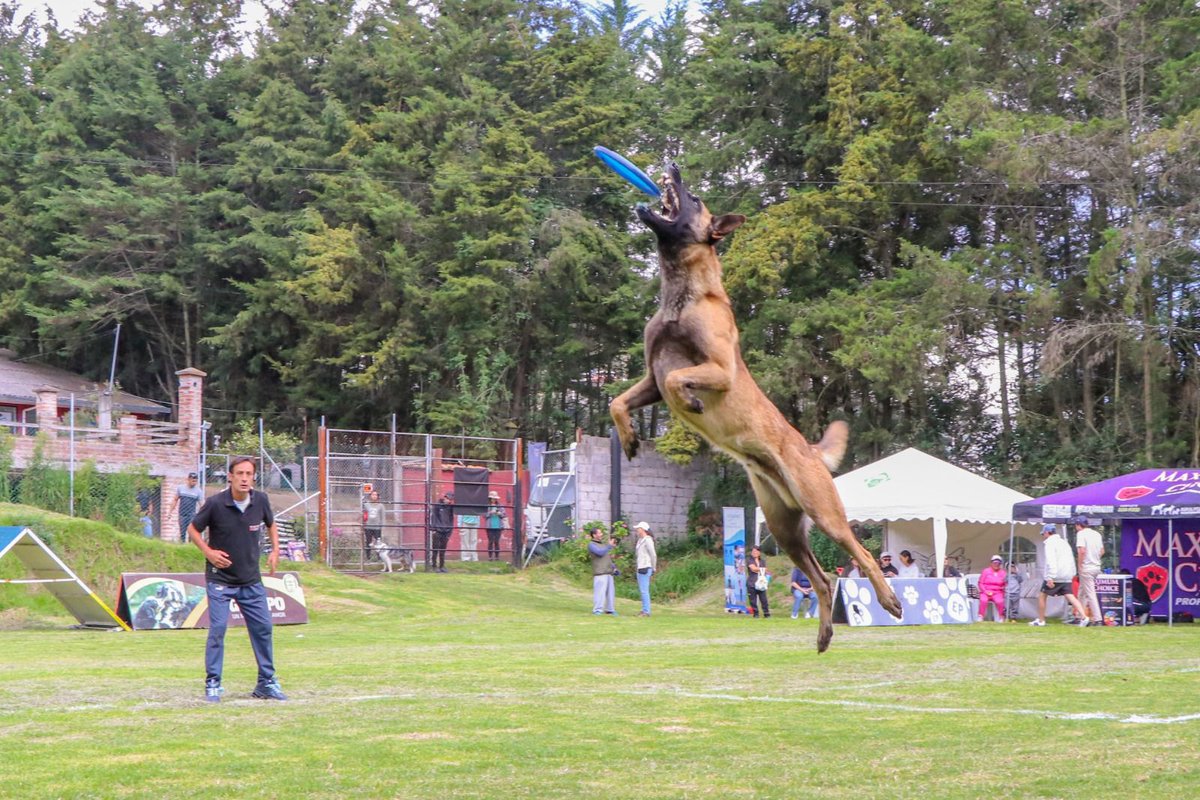 Infomedia 593 tweet media