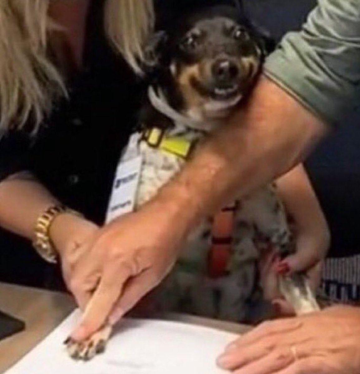 Finalmente consegui ser demitida