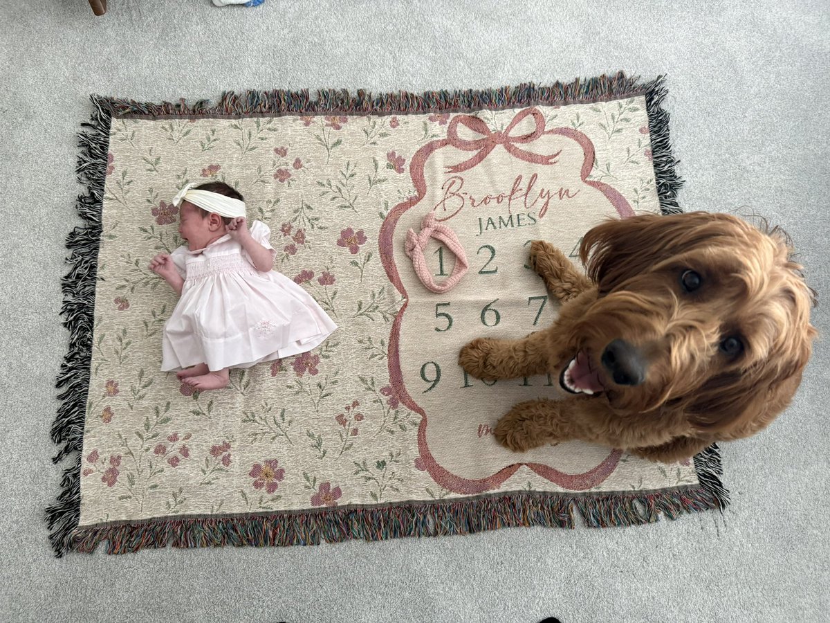 RobBrower's tweet photo. One month of Brooklyn! 💖🍼🎀 https://t.co/Mbju5NQasA