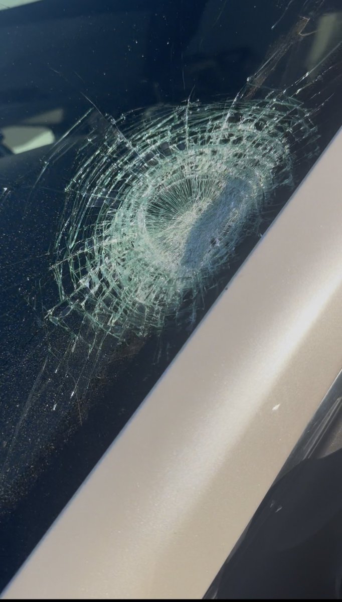 That Hayley Chick tweet media