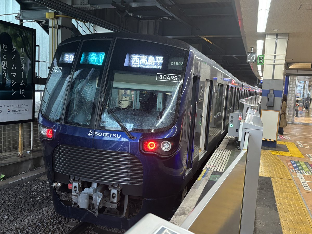 ゴリゾウ tweet media