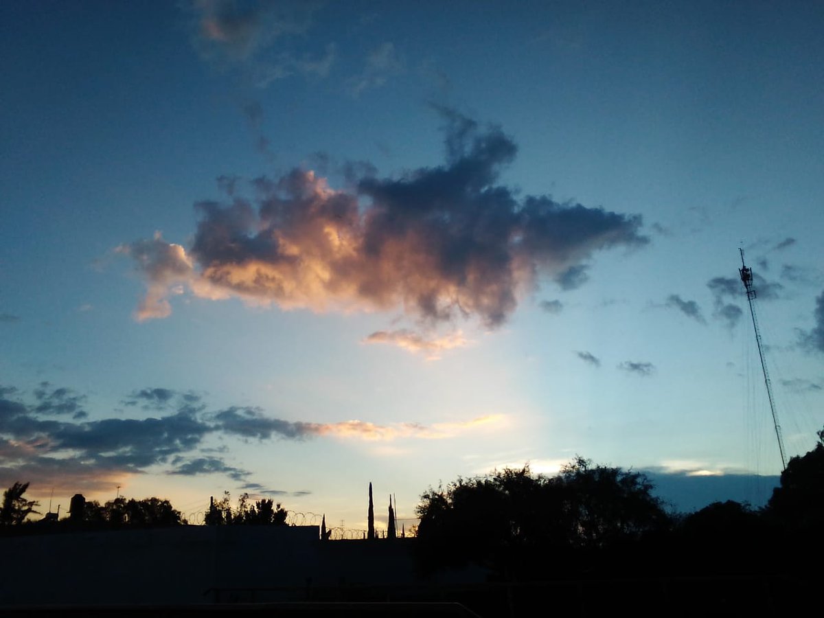 Angy_pollito amarillo tweet media