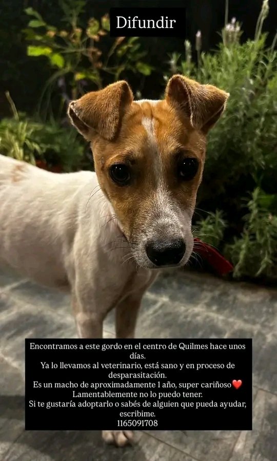 Jimena Torres ⭐️⭐️⭐️ tweet media