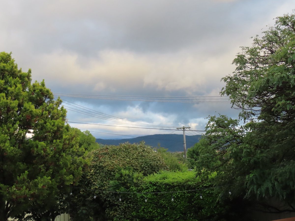 wapple15's tweet image. Good morning #Canberra 🌧️🌬️🌥️ 🌬️#POETS 😎