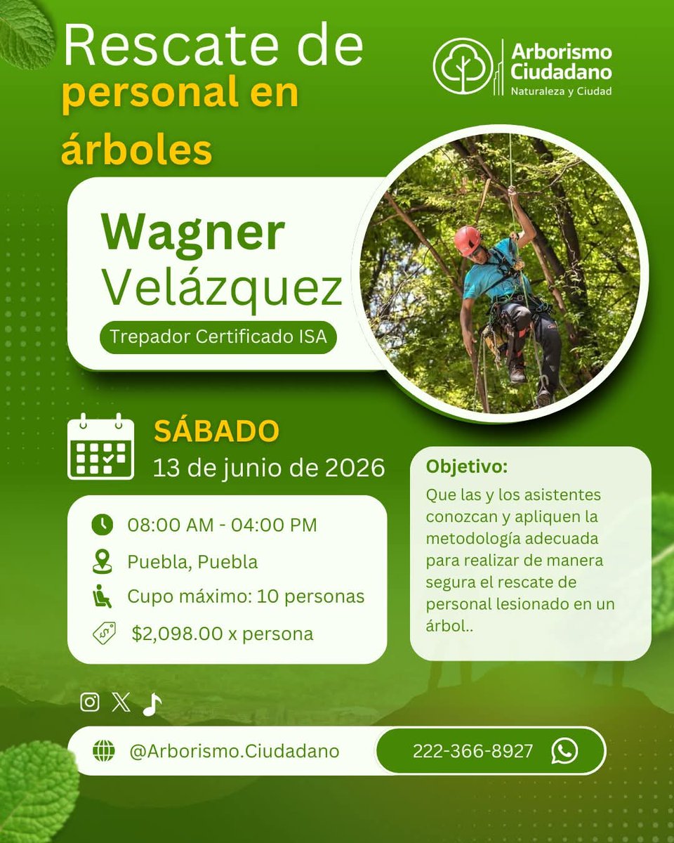 Arborismo Ciudadano tweet media