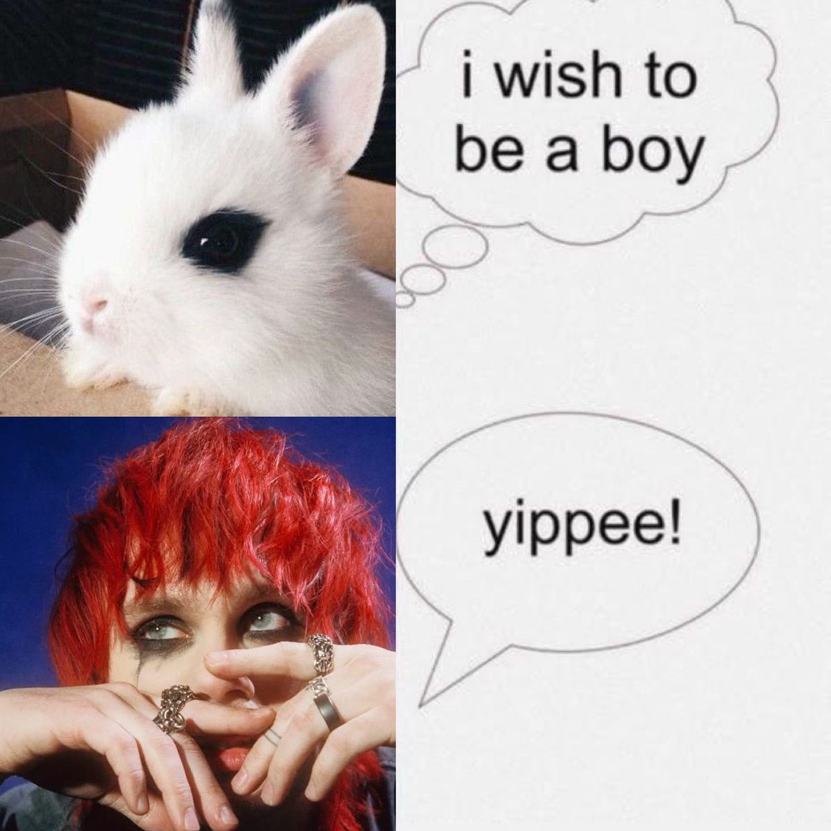 jazzi ann ✿ tweet media