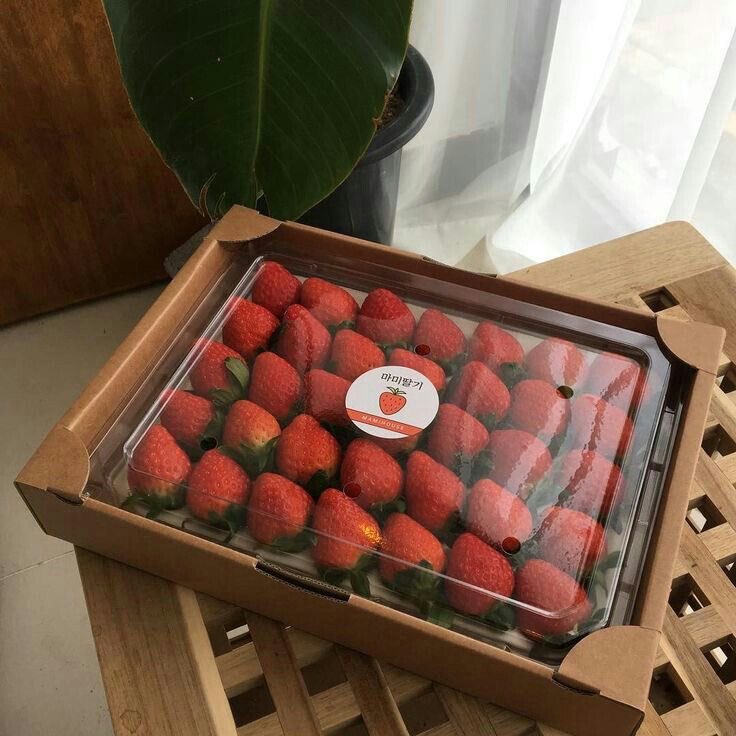 ᅠ ⭒𝓛𝑨𝑩𝒀𝑹𝑰𝑵𝑻𝑯 ͟⏜ᅠ𝕮𝑂𝐹𝐹𝐸 .𖥔 ݁˖ .ᐟᅠ tweet media