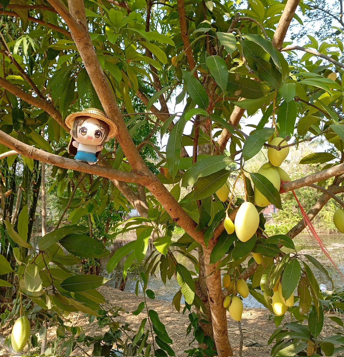 FERGUS🇹🇭 tweet media