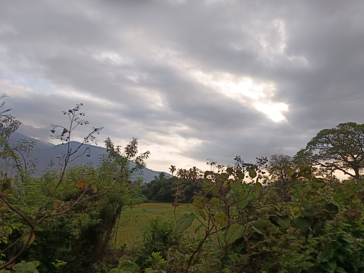 🍁SJ📚 tweet media