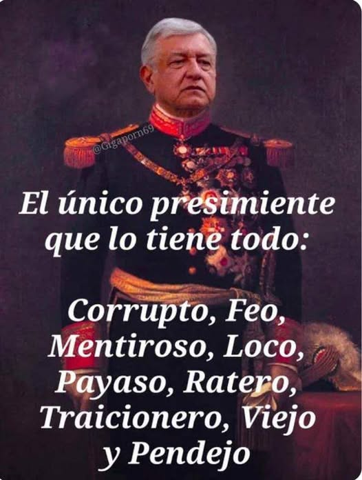 constanza luna tweet media