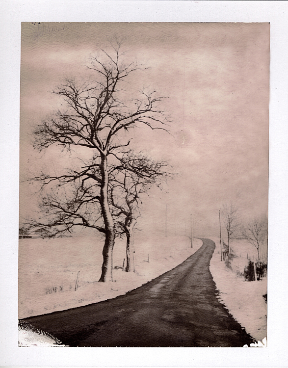 artlimitednet's tweet photo. Through Winter by Cyril Auvity https://t.co/OIAsI7nKeQ
#throughthelens #beautifullandscape #landscapelovers #photographylovers #filmphotographic #filmcommunity #nature #film #poetry #photography #landscape #analogphotography #visual #filmphotography #instant #contemplation… https://t.co/dp9qGc8Moz