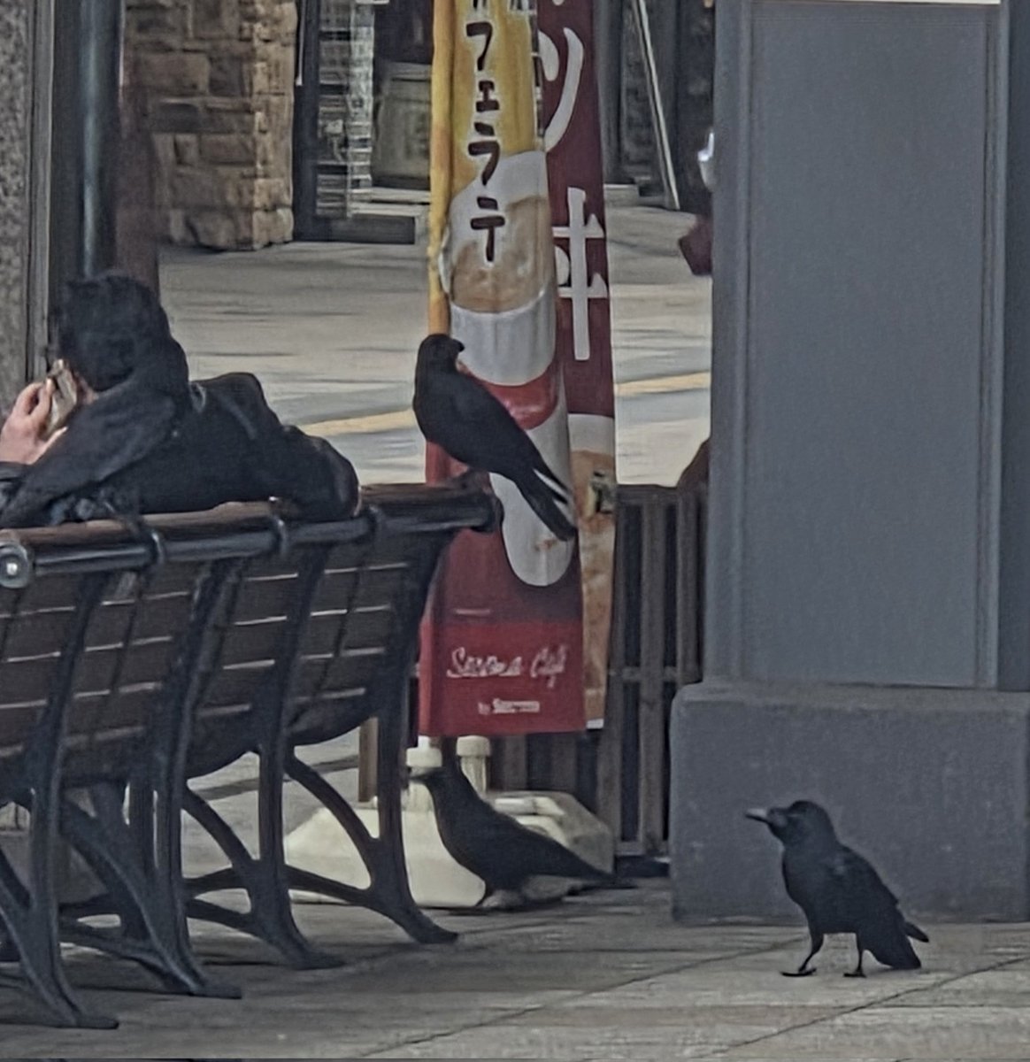 大工の ひろさん tweet media