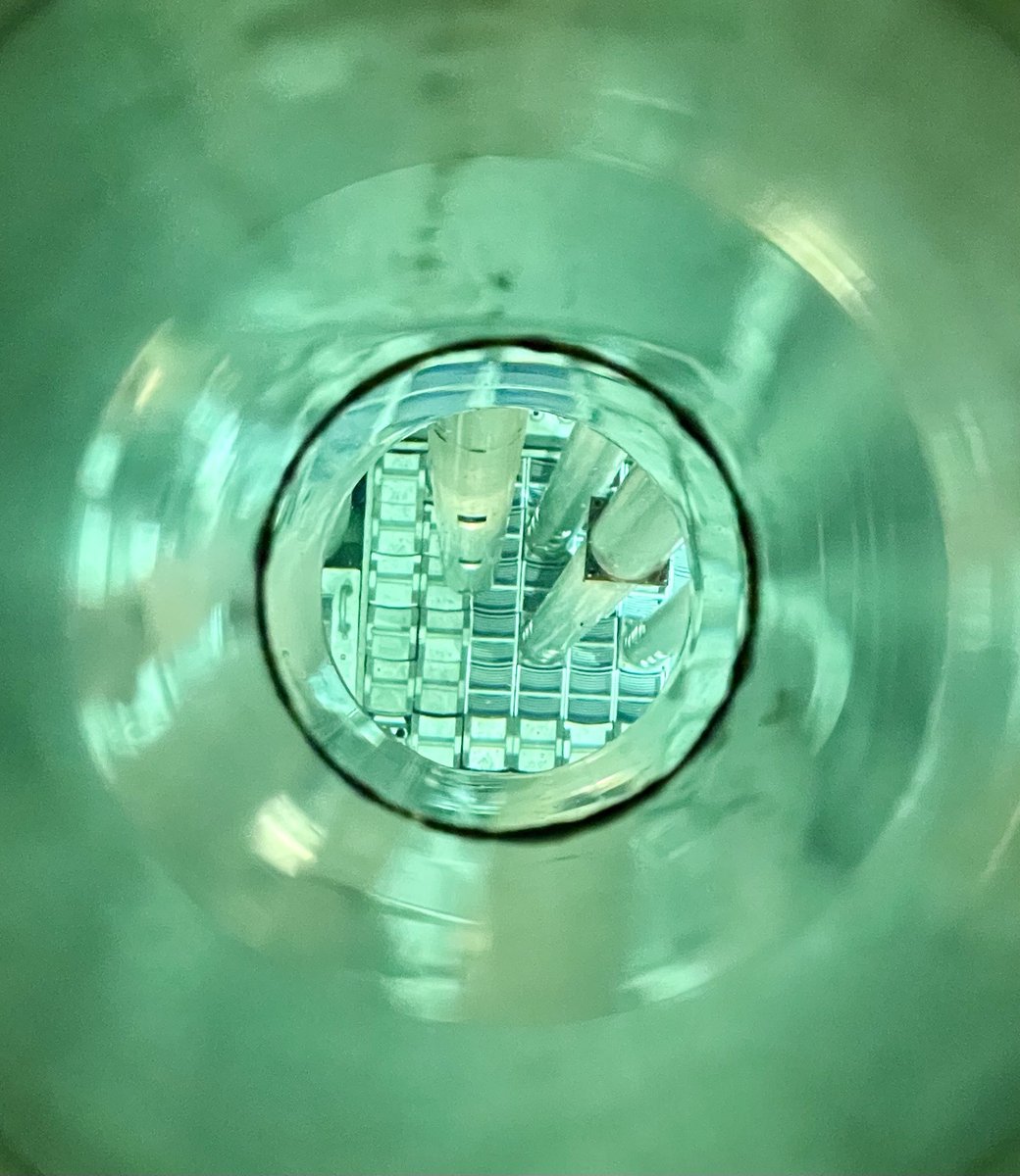 有限会社ホワイトラビット tweet media