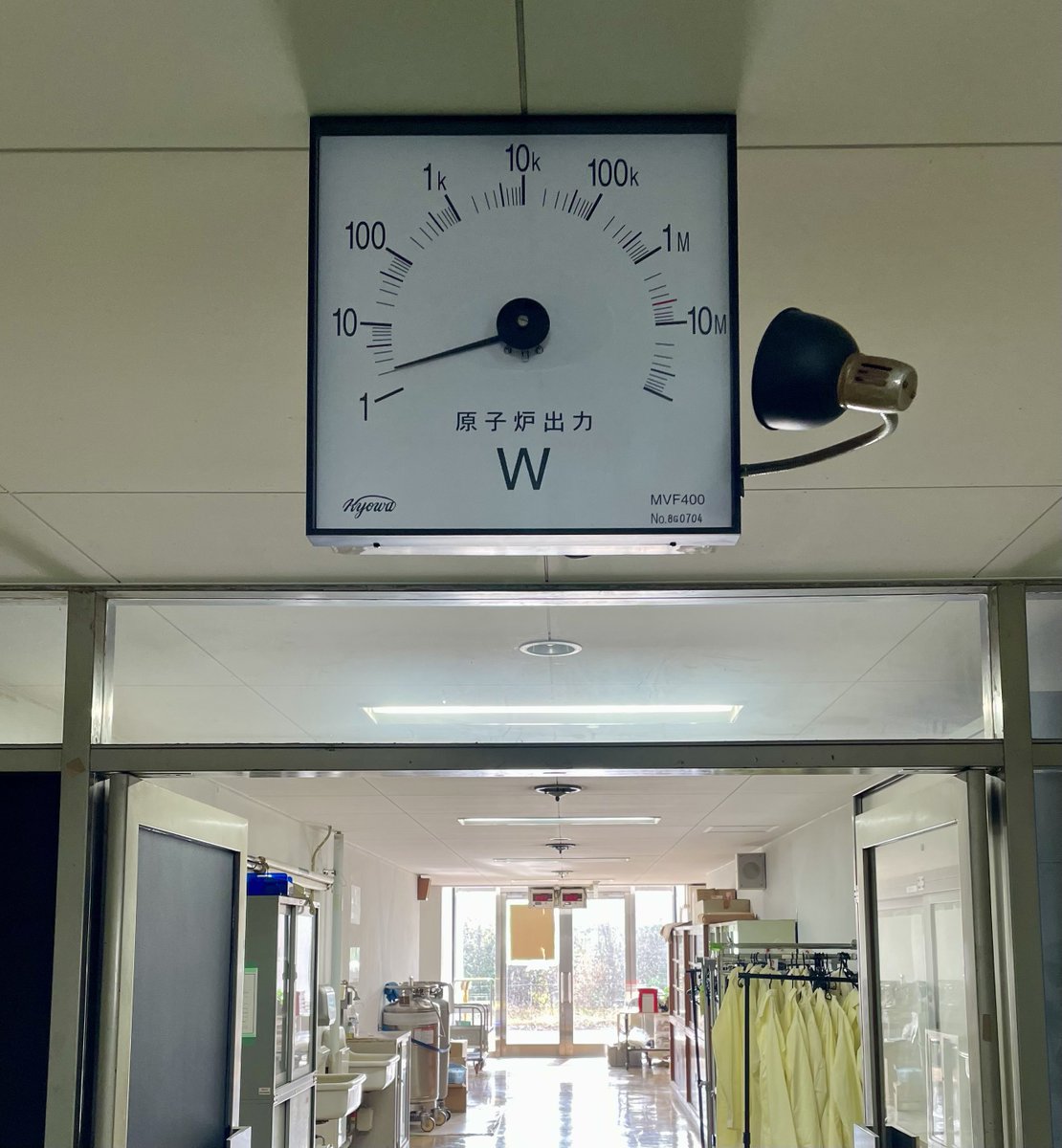 有限会社ホワイトラビット tweet media