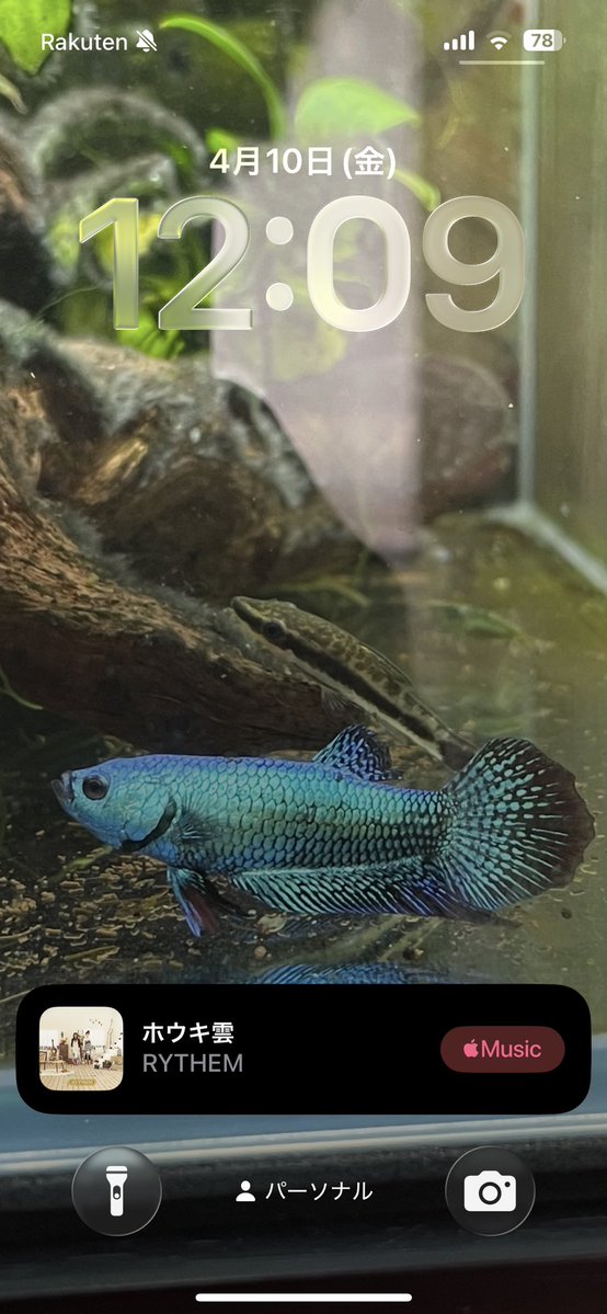 きょん@クソリプ tweet media