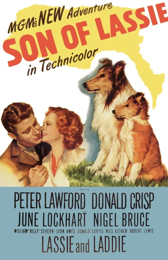 TCMComingUp's tweet image. #ComingUpOnTCM 

SON OF LASSIE (1945) Peter Lawford, Donald Crisp, June Lockhart, Nigel Bruce  
Dir.: S. Sylvan Simon 5:00 PM PT

Laddie, the eponymous dog, goes to war to help the resistance in occupied Norway.

1h 42m | Drama | TV-G

#TCM #TCMParty