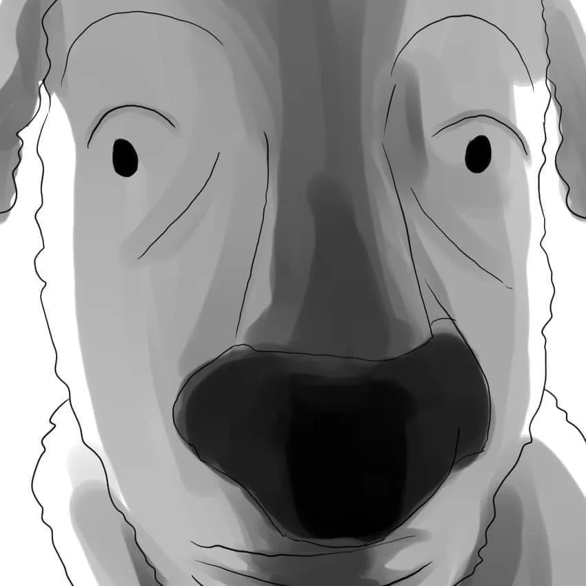 🐾화울(Whaul)🐾 tweet media