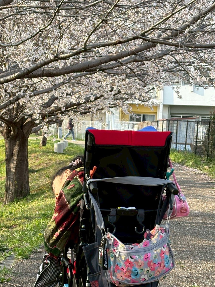 Xに登録した日を覚えていますか？ #MyXAnniversary
もう１５年！まだ１５年なんだ！
桜の季節にスタート🌸したんだ▶️

マッチ💖を探せ❣️