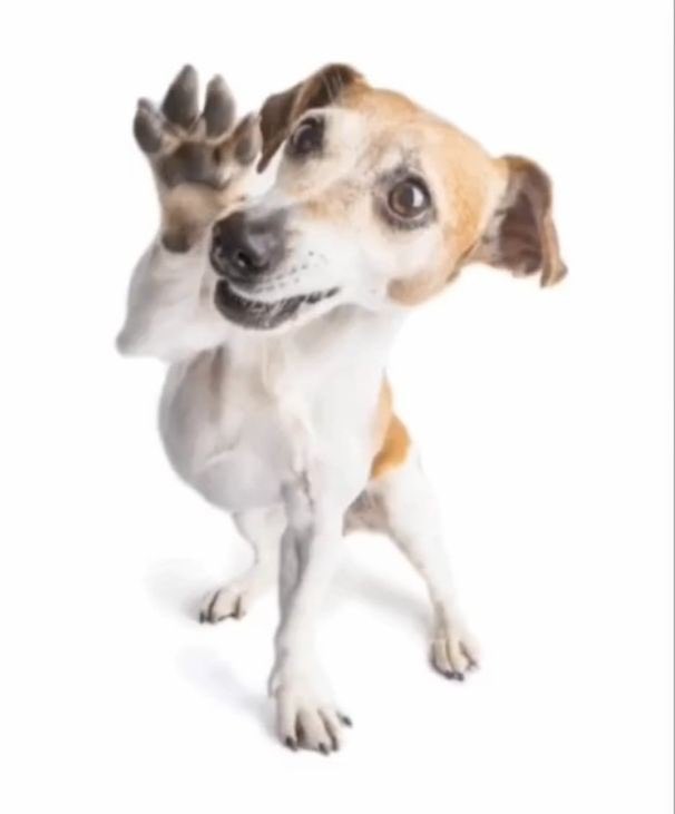 duda 🪭 VAI VER O BTS tweet media